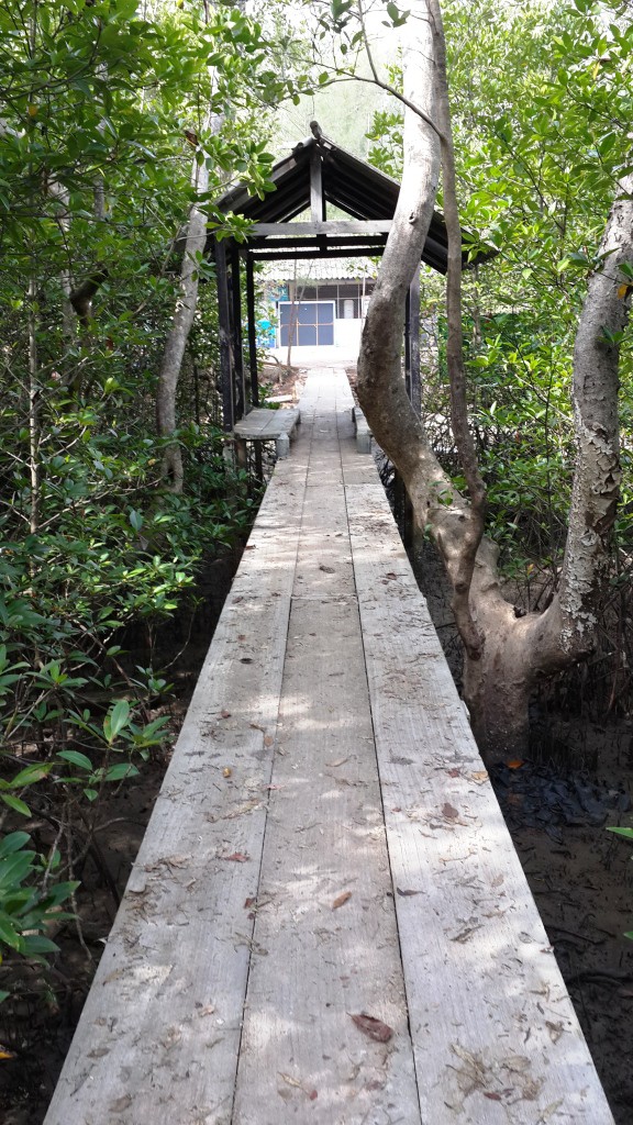 Ворота в мангровые джунги