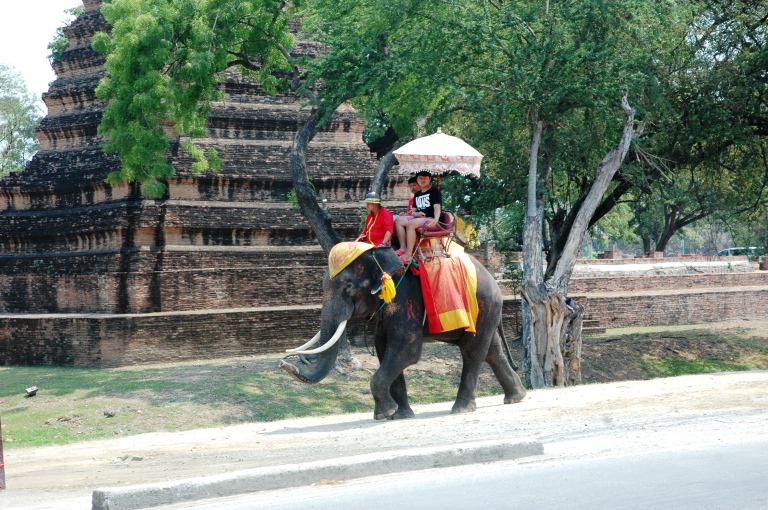 ayutthaya taxi